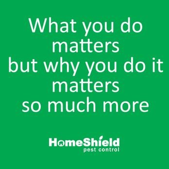 HomeShield Pest Control - Pest Control Near Me - Walnut Creek, California HomeShield Pest Control - Pest Control Near Me - Walnut Creek, California