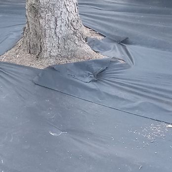 Quality Tree And Landscaping - Tree Services Near Me