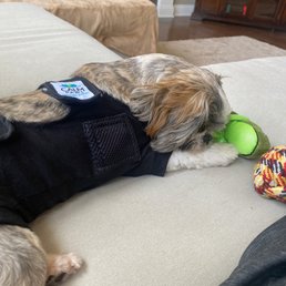 Recovery suit Recovery suit