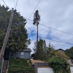 TreeWerx