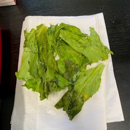 Gross Lettuce