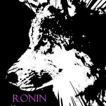 1. Ronin Martial Arts Academy