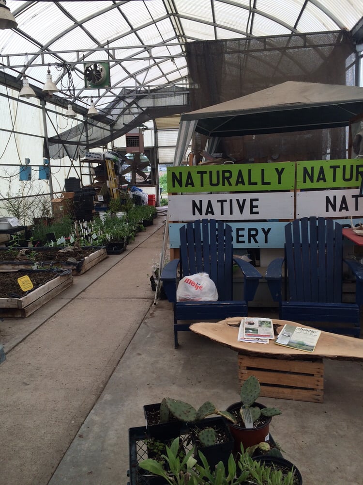 NATURALLY NATIVE NURSERY Updated October 2024 20525 Johnson Rd, South Bend, Indiana