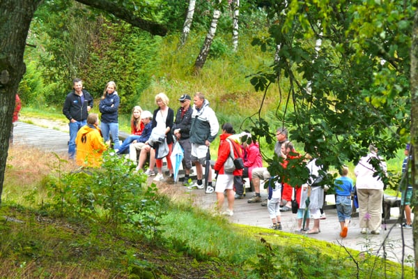 Vitlycke Museum by null