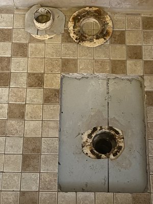 Timberland Plumbing & Heating Logo