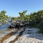 Coral Cove Park