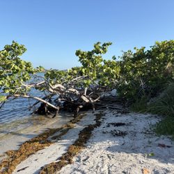 Coral Cove Park