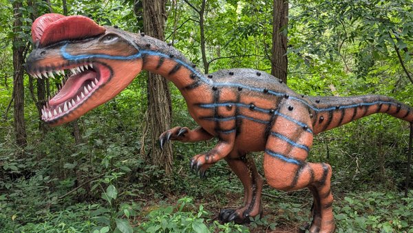 Dinosaur World by null