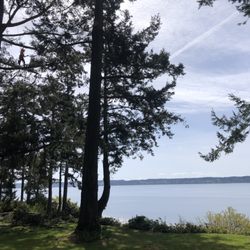 John the Arborist - John the Arborist trimming dead branches in a Douglas Fir