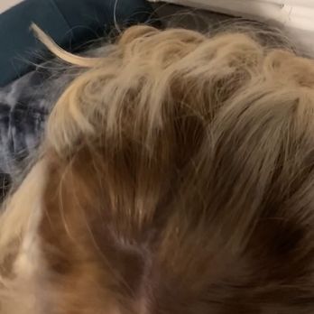 Planet Sol Salon - My roots are dramatically darker than they were when I came in and do not blend w the rest of my head - Hair Salons Near Me - Corpus Christi, Texas
