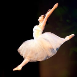 The Brooklyn Dance Centers