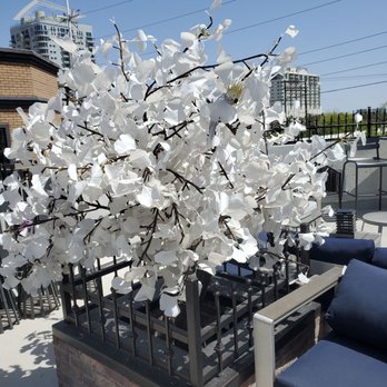 Taverna Costera - Nice rooftop area - Asian Fusion Near Me - Las Vegas, Nevada