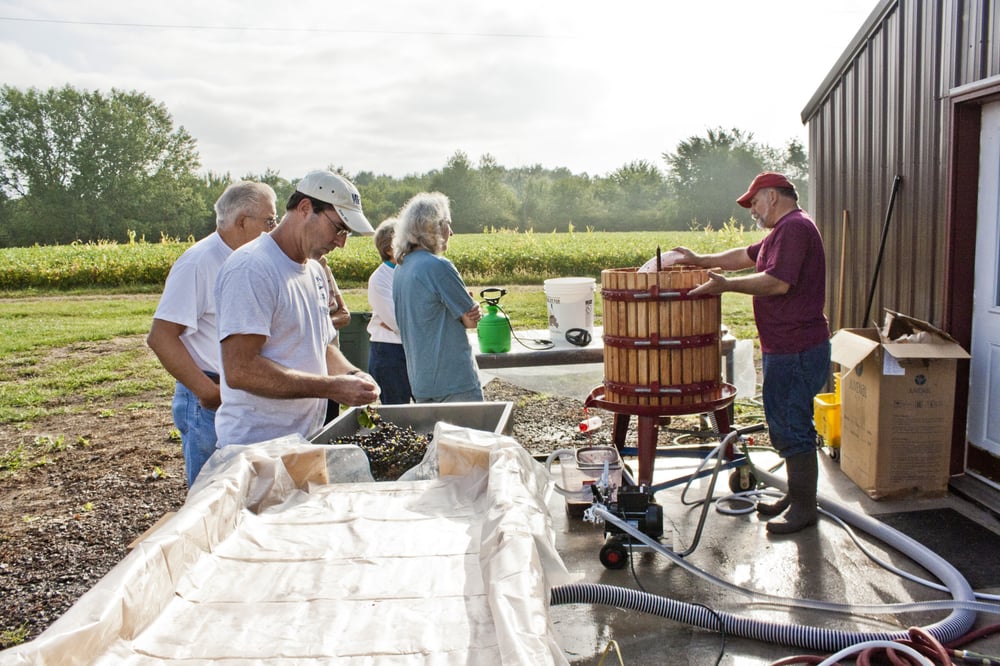 ODESSA VINEYARDS Updated September 2024 10448 77th St, Wapello, Iowa Wineries Phone