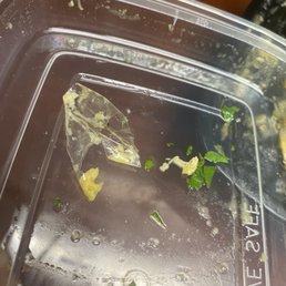 Found a big piece of plastic in my shrimp verde casserole
