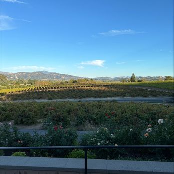 Rustic, Francis's Favorites - Italian Near Me - Geyserville, California Rustic, Francis's Favorites - Italian Near Me - Geyserville, California
