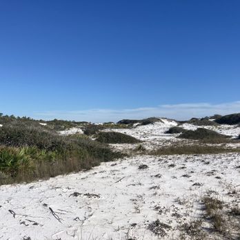 Grayton Beach State Park - Parks Near Me - Santa Rosa Beach, Florida