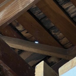 Hole in roof above laundry room