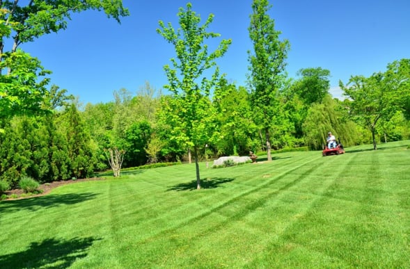 Photo of Lawn Care of Cumming - Cumming, GA, US. a man mowing the lawn