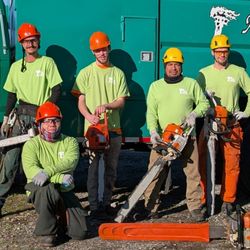 Artistic Treeworks - Artistic Treeworks' dedicated tree crew
