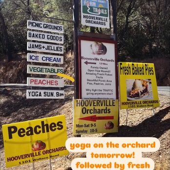 Hooverville Orchards - Fruits & Veggies Near Me - Placerville, California Hooverville Orchards - Fruits & Veggies Near Me - Placerville, California