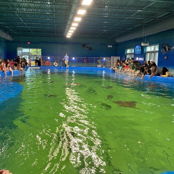 Ocean Adventures - Aquariums Near Me - Gulfport, Mississippi