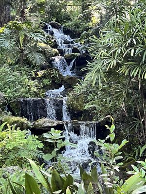 Rainbow Springs State Park by null