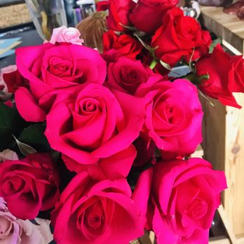 Blooming Floral Cafe - Coffee & Tea Near Me - Tampa, Florida