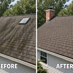 Erik Services - Shingle roof soft washing