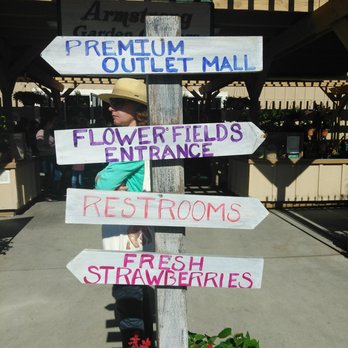 The Flower Fields - It's that simple ;-) - Venues & Event Spaces Near Me - Carlsbad, California The Flower Fields - It's that simple ;-) - Venues & Event Spaces Near Me - Carlsbad, California