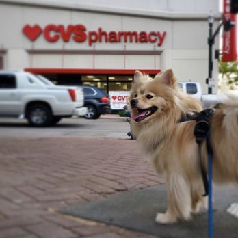 CVS Pharmacy - a dog on a leash - Drugstores Near Me - Yardley, Pennsylvania