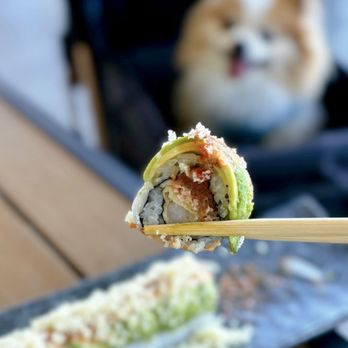 MJ Menlo Park - Monster Roll w/ shrimp tempura, spicy tuna, crab, avocado, tempura crunchies, house special sauce, unagi sauce ($14.99) - Sushi Bars Near Me - Menlo Park, California MJ Menlo Park - Monster Roll w/ shrimp tempura, spicy tuna, crab, avocado, tempura crunchies, house special sauce, unagi sauce ($14.99) - Sushi Bars Near Me - Menlo Park, California