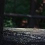 Niagara River Recreation Trail