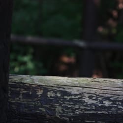 Niagara River Recreation Trail - Railing - Niagara Parks Trail - Canada - Photo Credit: Richard Trus www.richardtrus.net
