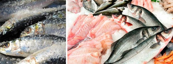 Osler Fish Market by null