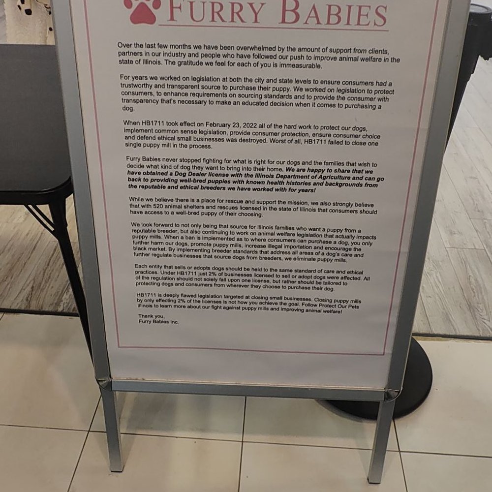 Furry Babies - Lombard - Pet Stores Near Me - Lombard, Illinois Furry Babies - Lombard - Pet Stores Near Me - Lombard, Illinois