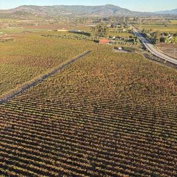 Sonoma Ballooning Adventures - Vineyards - Hot Air Balloons Near Me - Sonoma, California Sonoma Ballooning Adventures - Vineyards - Hot Air Balloons Near Me - Sonoma, California