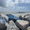 Lighthouse Inlet Heritage Preserve gift card