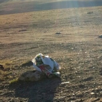 Lake Success - Trash bag in the parking area - Lakes Near Me - Porterville, California Lake Success - Trash bag in the parking area - Lakes Near Me - Porterville, California