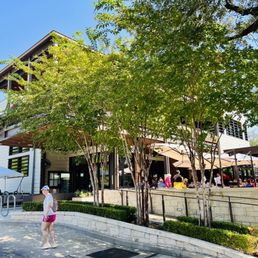 HUNGRY’S - RICE VILLAGE - Updated December 2025 - 1380 Photos & 1158 ...