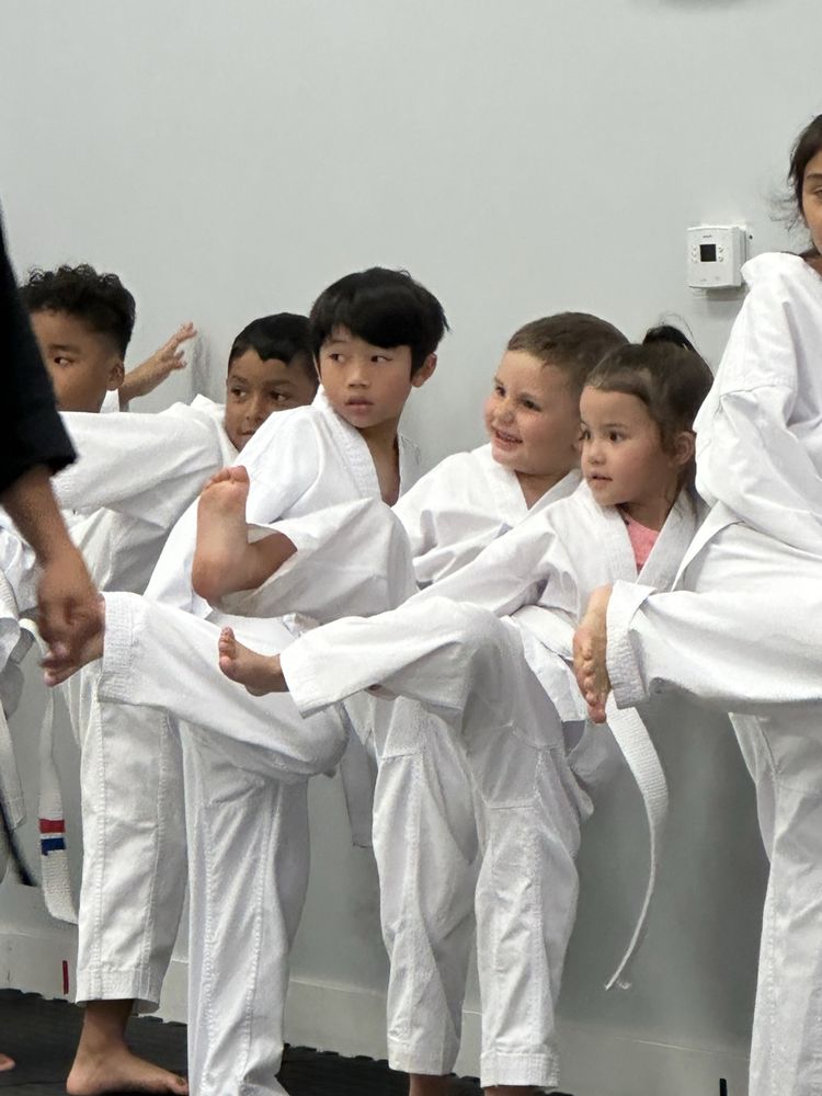 Sparks Taekwondo Logo
