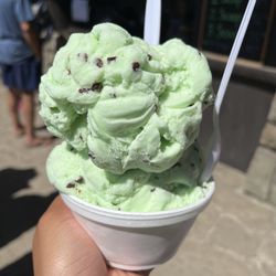 Lakefront Boats and Bites - Double scoop of mint chip $6