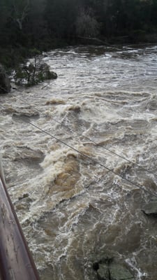 Cataract Gorge Reserve by null