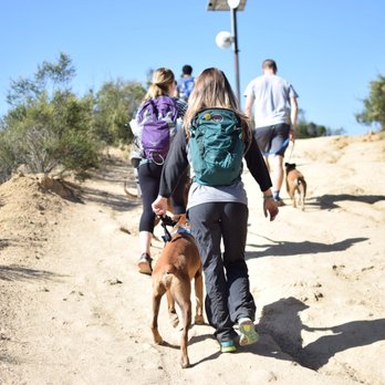 The Dog Listener - Pet Training Near Me The Dog Listener - Pet Training Near Me