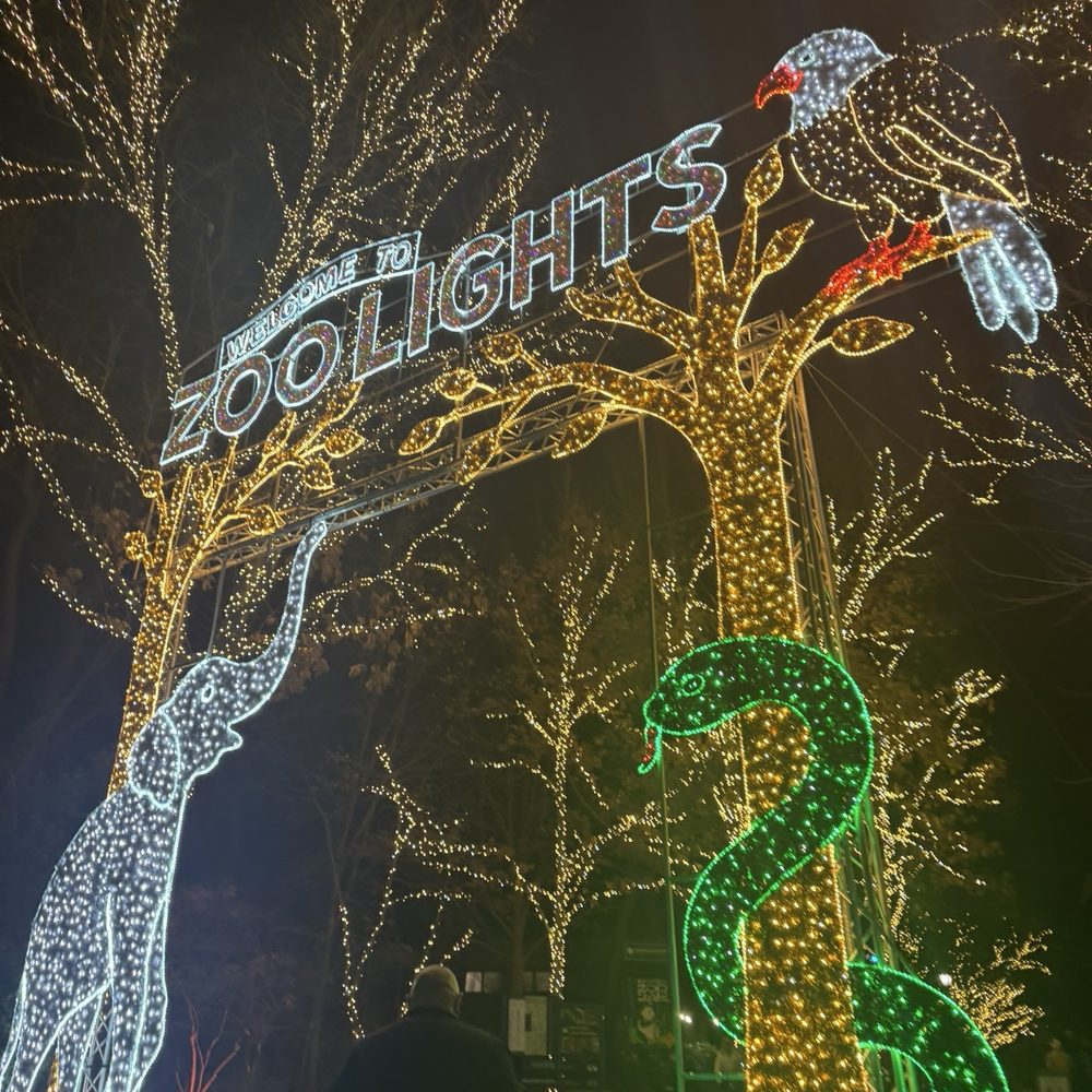 ZooLights - entrance to zoo lights - Zoos Near Me - Washington, DC, District of Columbia