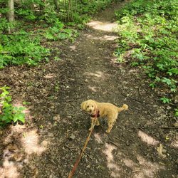 Tails N Trails Dog Park