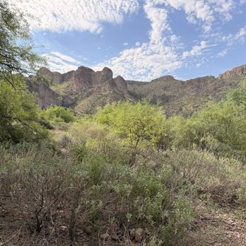 Tonto National Forest - Canyon Lake - August 2026 - Parks Near Me - Mesa, Arizona Tonto National Forest - Canyon Lake - August 2026 - Parks Near Me - Mesa, Arizona