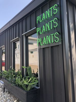 The Plant Outpost by null