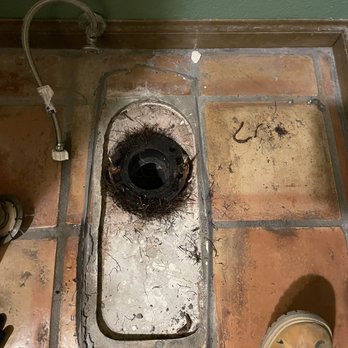 Sir Plumb-A-Lot - Root infested toilet closet and flange - Plumbing Near Me Sir Plumb-A-Lot - Root infested toilet closet and flange - Plumbing Near Me