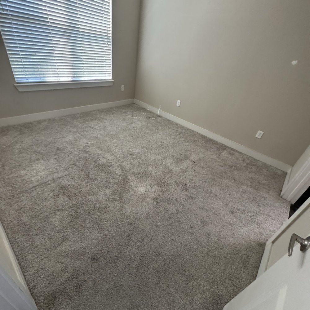 Texas Tidy Homes - Not-so-vacuumed carpet - Home Cleaning Near Me - Dallas, Texas Texas Tidy Homes - Not-so-vacuumed carpet - Home Cleaning Near Me - Dallas, Texas