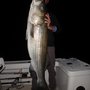 Photo of Reel Cast Charters